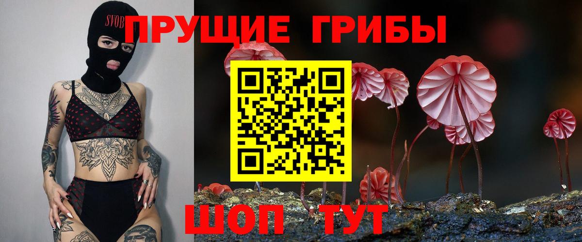 Галлюциногенные грибы Psilocybine cubensis  Вход с VPN  Ковров 